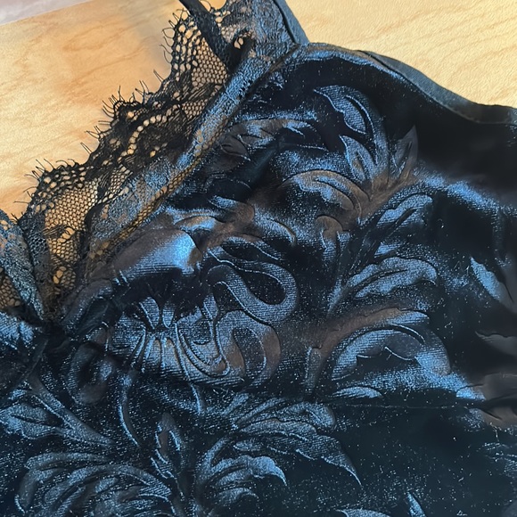 CIDER VELVET AND LACE CAMI NWT - Picture 3 of 8